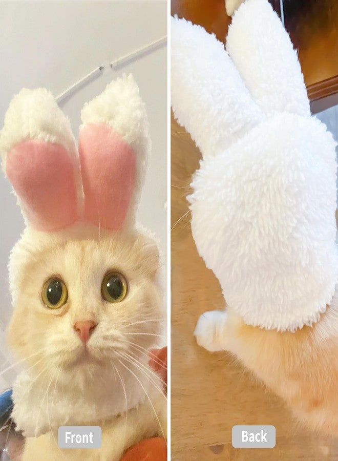 WALSKING Cat Costume Bunny Rabbit Hat with Ears for Cats & Small Dogs - Perfect Easter Halloween Christmas Pet Costume Accessory - Image 3